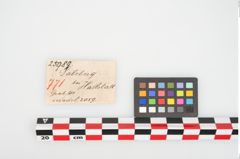 Etikett zu Bronzemehrkopfnadel (NHMW-PRAE-025989)